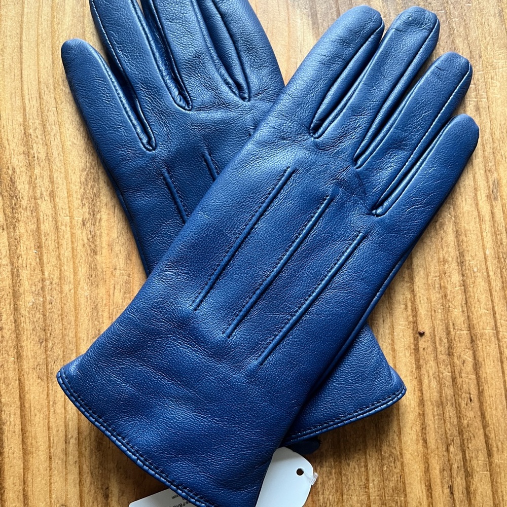 Elegant Blue Leather Gloves